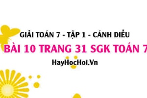 Giải bài 10 trang 31 Toán 7 Tập 1 SGK Cánh Diều